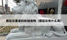 蘑菇石里面的機械寵物（蘑菇石有什么用）