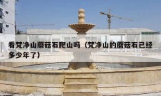 看梵凈山蘑菇石爬山嗎（梵凈山的蘑菇石已經多少年了）