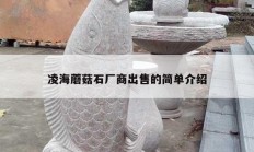 凌海蘑菇石廠(chǎng)商出售的簡(jiǎn)單介紹