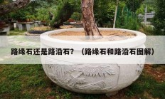 路緣石還是路沿石？（路緣石和路沿石圖解）