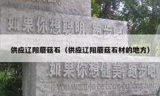 供應(yīng)遼陽蘑菇石（供應(yīng)遼陽蘑菇石材的地方）