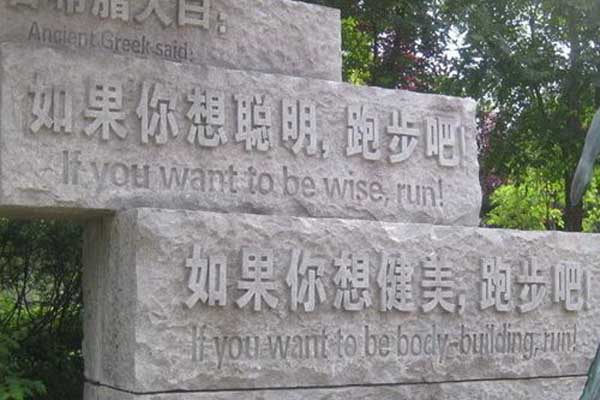 室內(nèi)花壇圖片大全（室內(nèi)花園圖片）